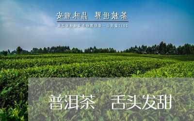 普洱茶 舌头发甜/2023041041925